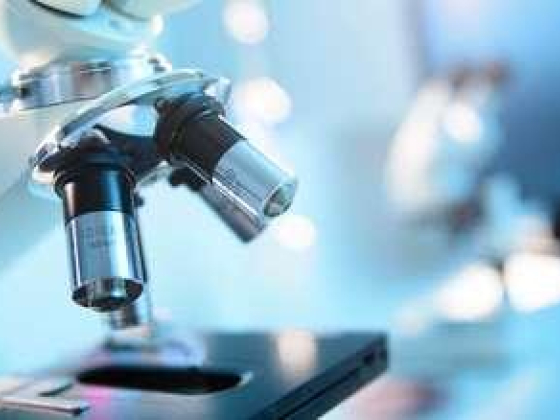 Freiburg Medical Laboratory Middle East