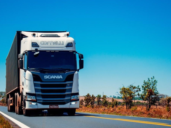 Super Phalia Transport By Heavy Trucks