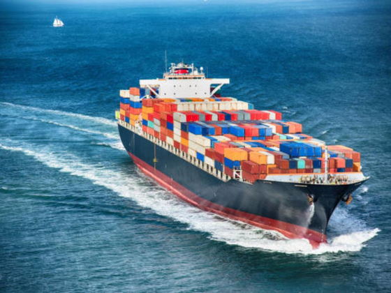 Shipex Global Cargo