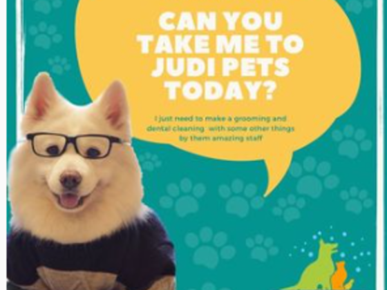 Judi Pets