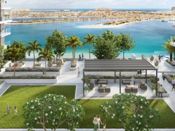 Tulip Home Real Estate