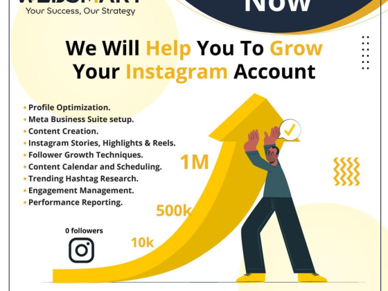 Web Smart Digital Marketing Agency