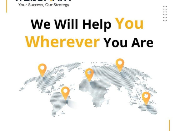 Web Smart Digital Marketing Agency
