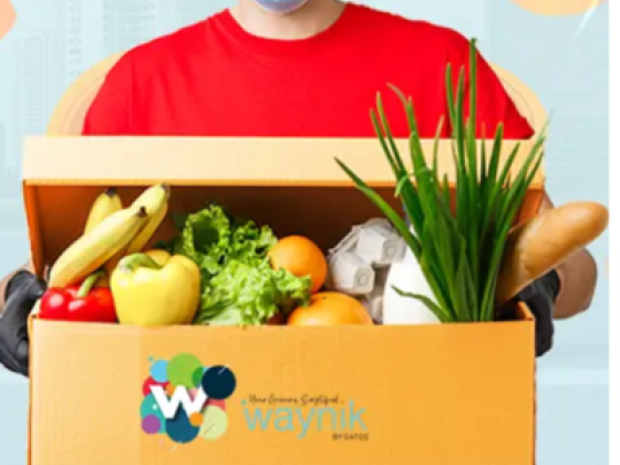 Waynik