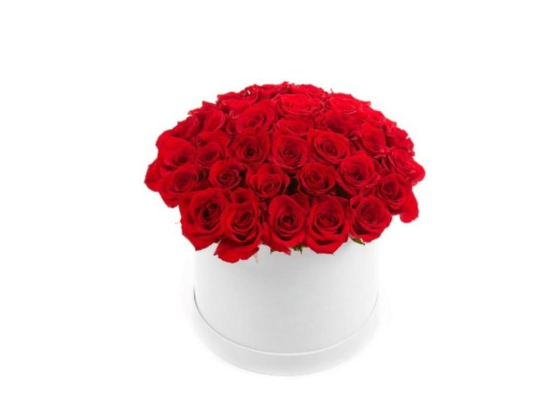 Live Gardens Flowers & Ornamental Plants Trading