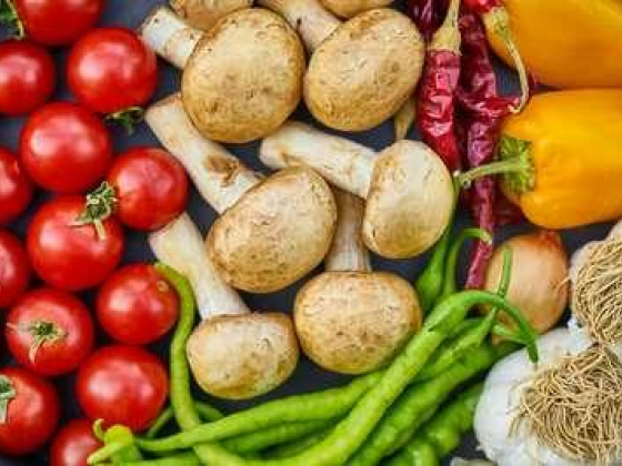 Taj Al Najmat Foodstuff Trading