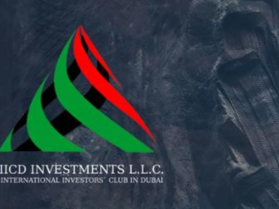 I I C D Investments
