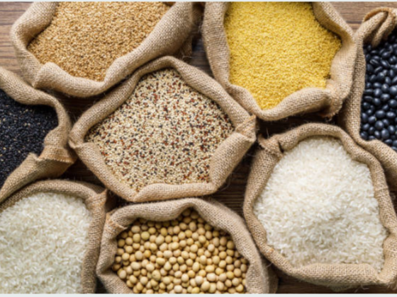 Agrox Food Trading