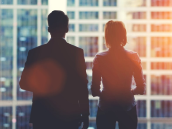 Jll Real Estate
