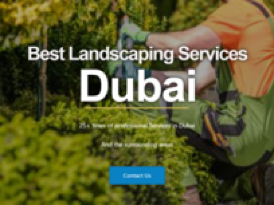 Best Dubai Landscape