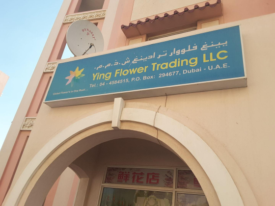 Ying Flower Trading