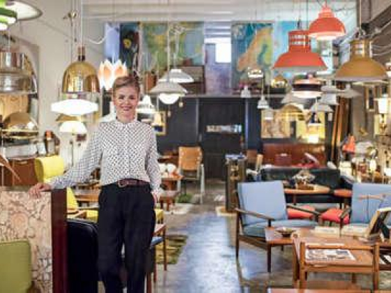 Sun Shine Five Light Fittings & Fixtures Trading