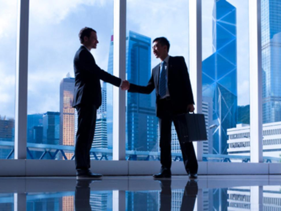 Gea Consulting & Research