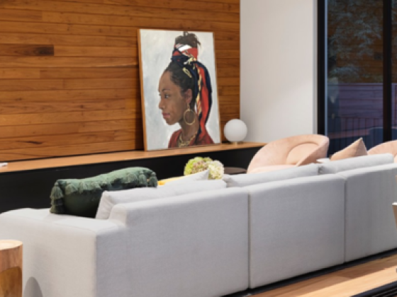 Shamuzzi Gallery