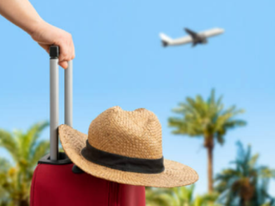 Delight Vacations Travel And Tourism