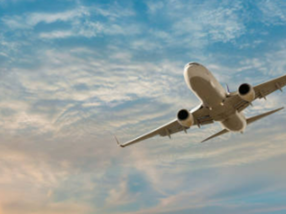 Delight Vacations Travel And Tourism