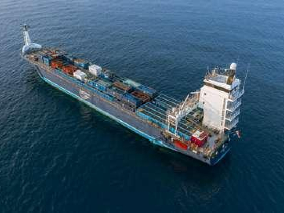 L T S International Logistic