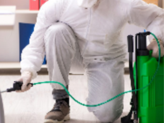 Jumeirah Pest Control Services