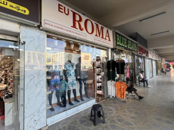 EU Roma