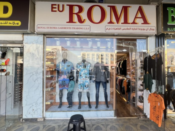 EU Roma