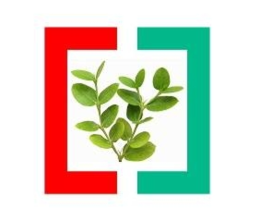 S P & Sp Technical Services