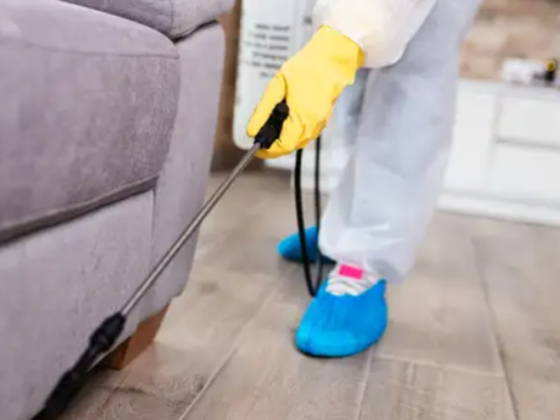 Akkad Pest Control Services