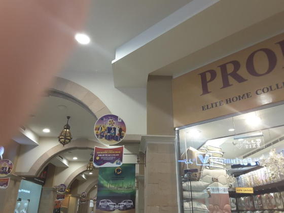 Professor (Elite Home Collection)