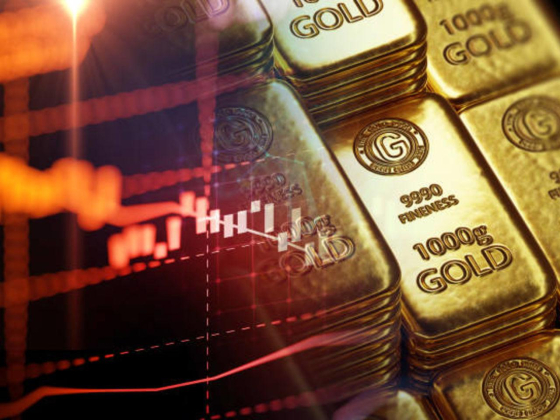 Pearl Prima Gold Trading