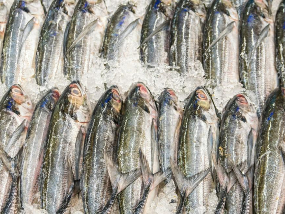 Royal Delicious Fish Trading
