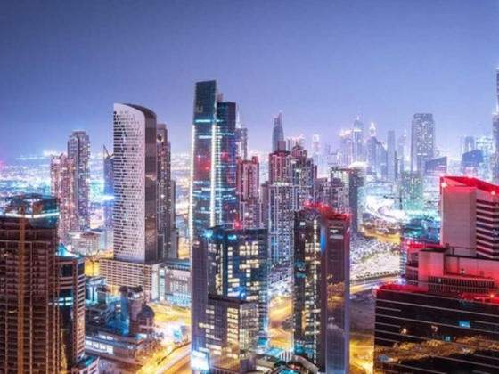 Dxb Businessmen Services
