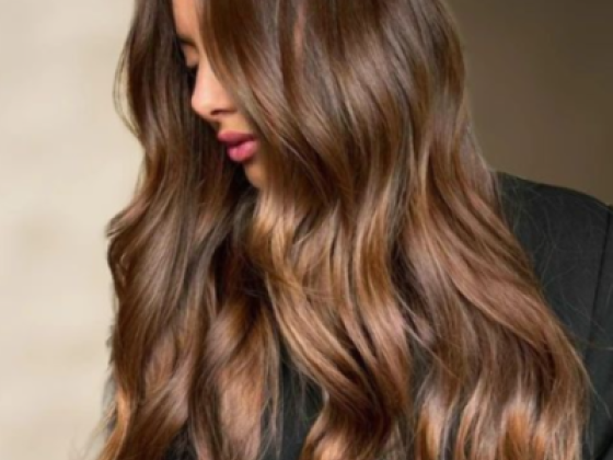 Alaa & Walid Ladies Salon