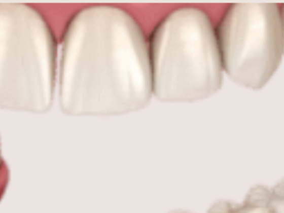 Ceramica Dental Lab