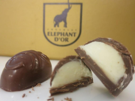 Elephant D"or
