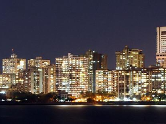 Elite Falcon Management Consultants