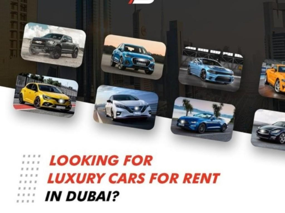 Al Safeer Car Rental
