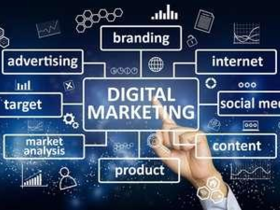 Business Mind Marketing Agency
