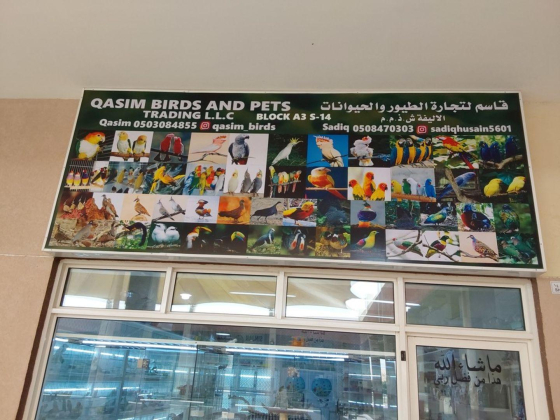 Qasim Birds And Pets Trading