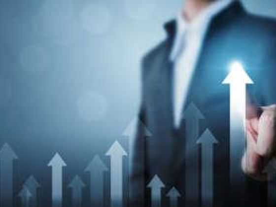 Derby Sales Management