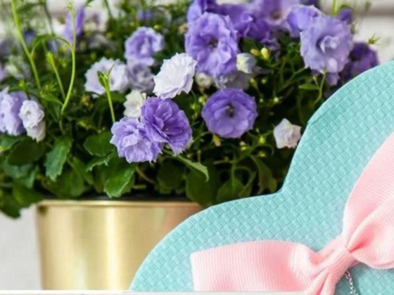 Trilite International