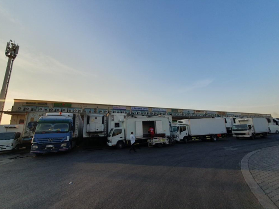 Alsalh Al Thahbya Vegetables And Fruits Trading