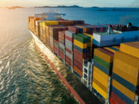 Tajdeed Sea Shipping  Co.