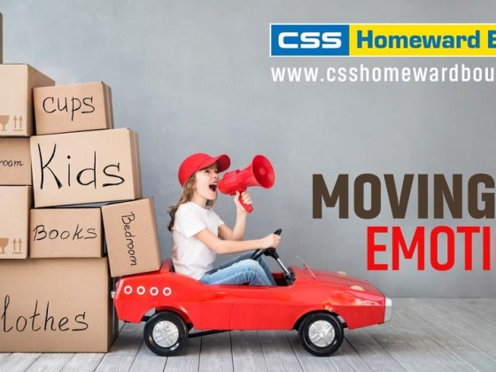 Css Homeward Bound