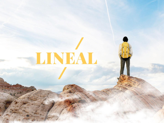 Lineal Project Management L.L.C.