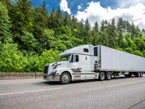 Gurvinder Singh Transport