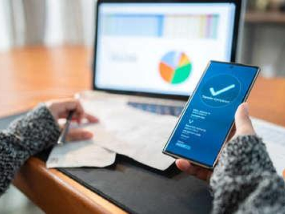 Millennium Payment Services Provider Rubik Investment