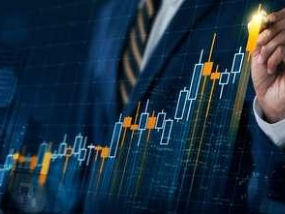 Capitalnet Investment