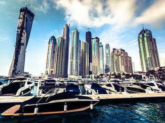Swan Travel And Tour