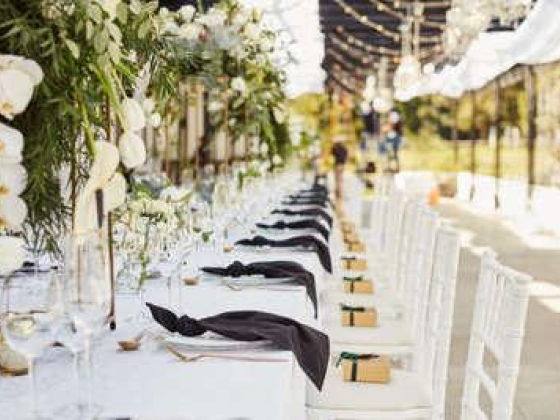 Iftikhar Ali Wedding Parties Organizing