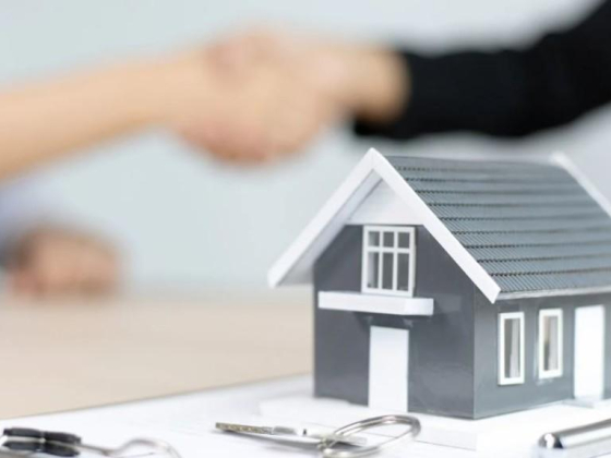 Razavi Real Estate