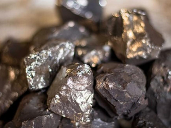 DLS Resources